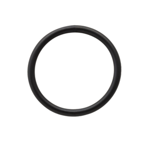 O-ring for Thermo ICP Duo Periscope Window, (PKT 10)